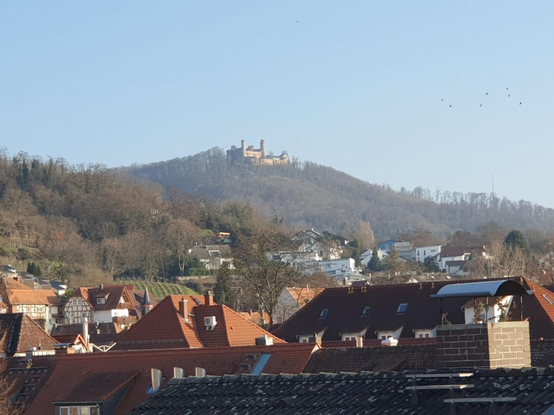 Abm Apartment Haus Zwingenberg  Esterno foto